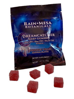 Dreamcatcher Sleep Gummies Pouch- 10 piece