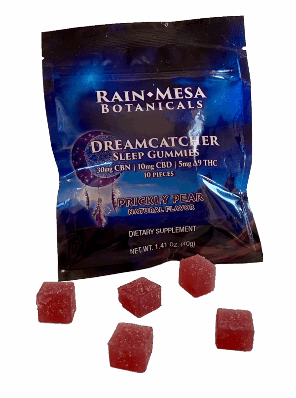 Dreamcatcher Sleep Gummies Pouch- 10 piece