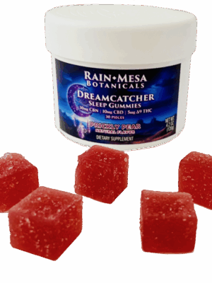 Dreamcatcher Sleep Gummies Jar - 30 piece